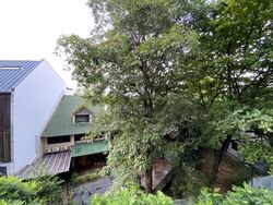 38 Jervois (D10), Apartment #535877681
